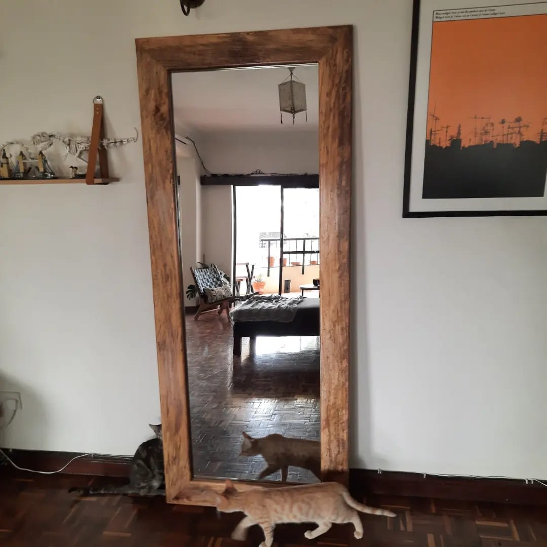 Framed Mirror