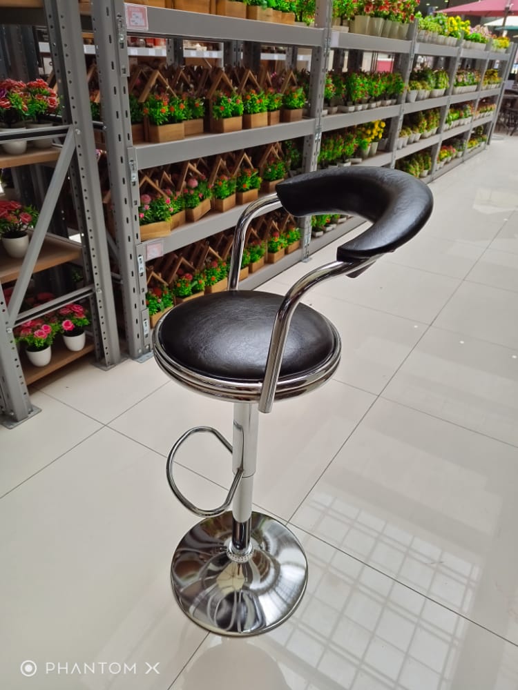 Adjustable Bar Stool