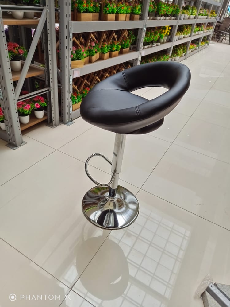 Adjustable Bar Stool